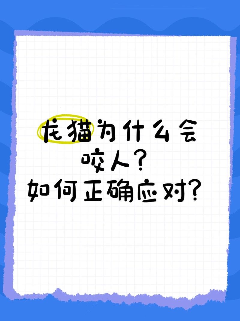 龍貓發情期咬人怎么辦？