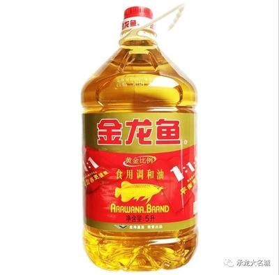 金龍魚為什么值錢呢，金龍魚為什么值錢 金龍魚為什么值錢呢，金龍魚為什么值錢 龍魚百科 第1張