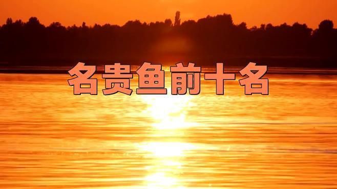 中國最昂貴十大名魚觀賞魚