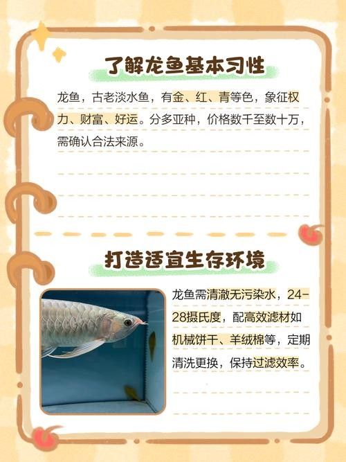 龍魚和斑馬魚混養(yǎng)可以嗎圖片
