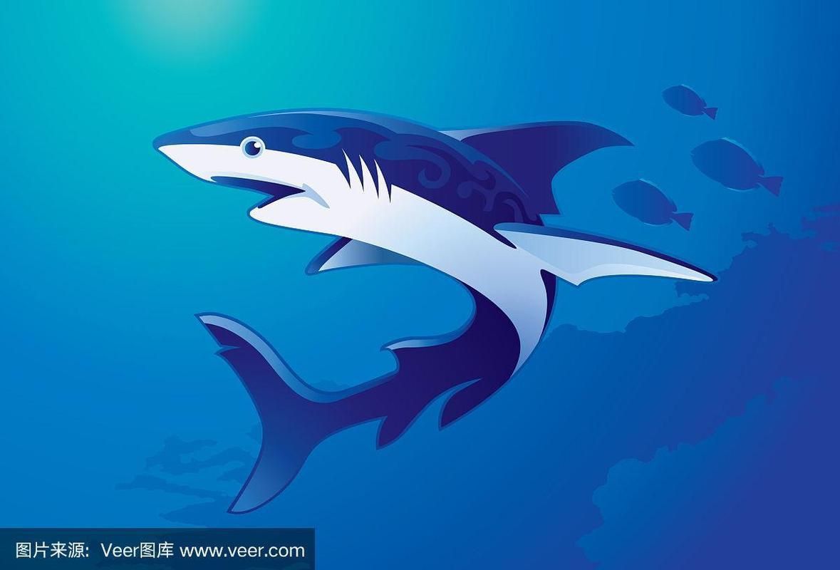 藍鯊魚圖片