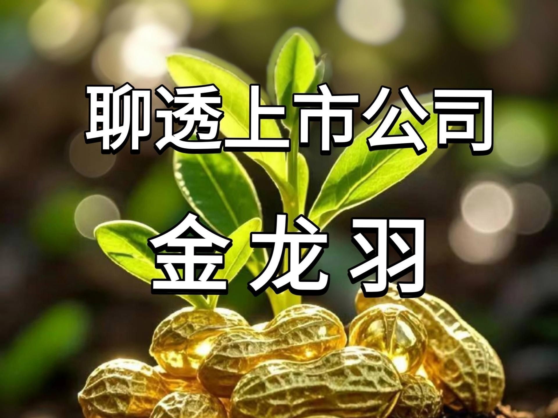 金龍羽集團