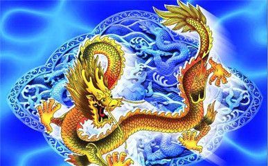 屬龍的養什么魚旺財聚財的：屬龍人在家中養魚可以起到旺財聚財的作用