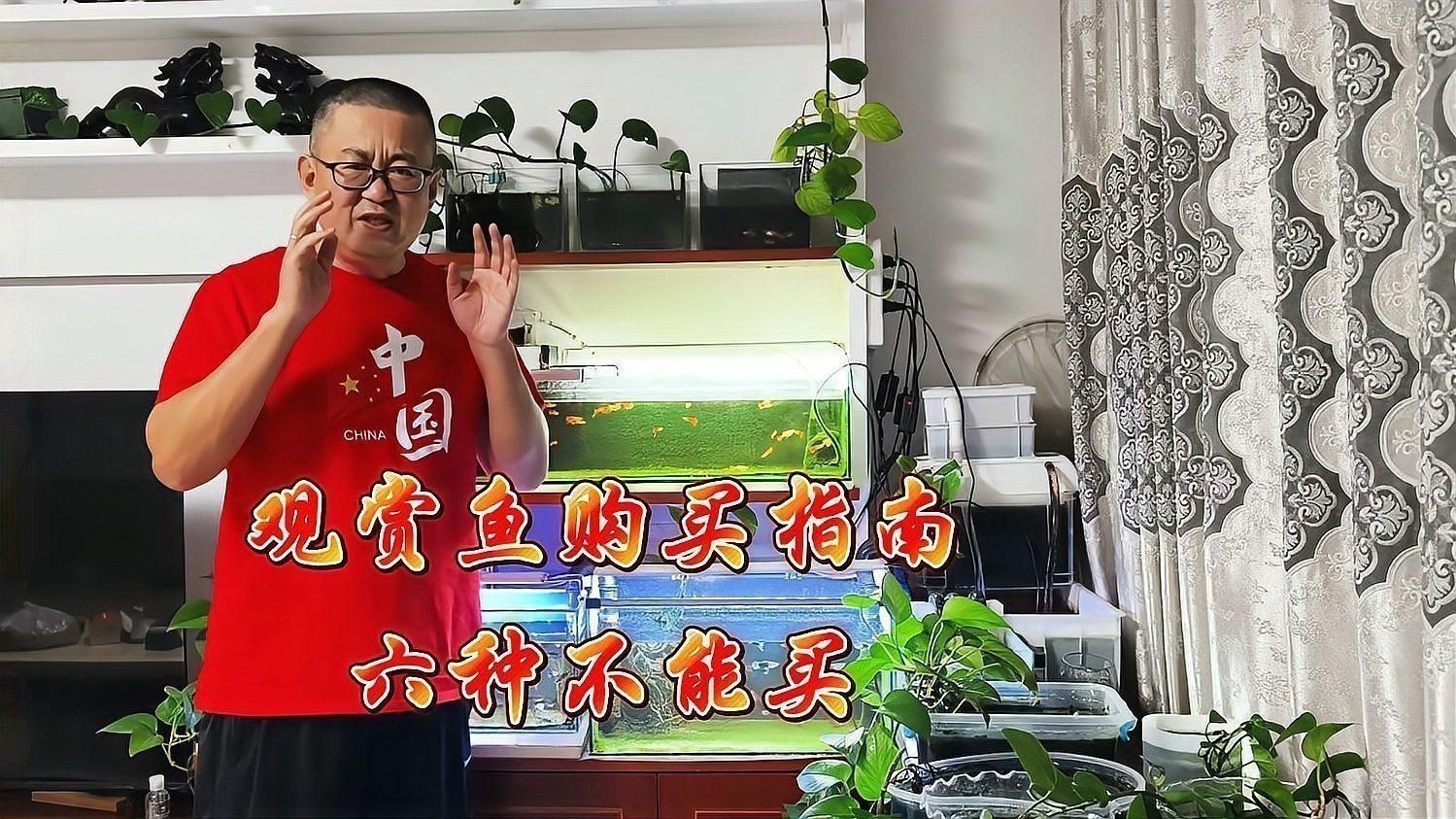 觀賞魚市場購買技巧