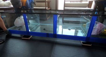 自制龍魚飼料配方比例圖：自制龍魚缸的基本步驟