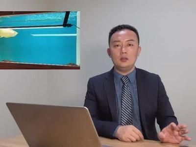 龍魚缸側燈角度：如何選擇適合龍魚的燈具，龍魚缸照明的節能方法