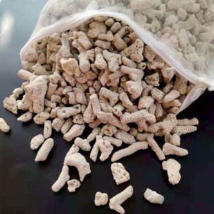 龍魚缸過濾系統要放珊瑚沙嗎：龍魚缸水質管理技巧 龍魚缸過濾系統要放珊瑚沙嗎：龍魚缸水質管理技巧 龍魚百科 第5張