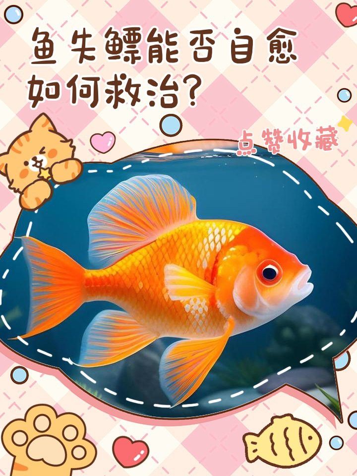 龍魚浮背能自愈嗎？