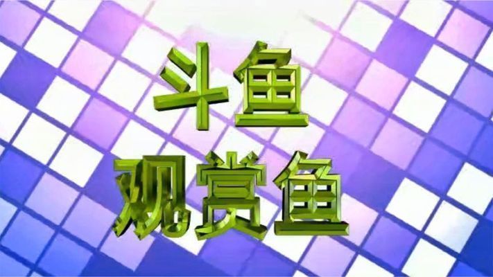 跟龍魚有關的網名大全，與龍魚相關的網名大全