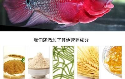 羅漢魚飼料成分對比，羅漢魚飼料成分對魚類生長的影響