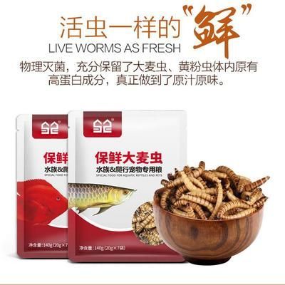 羅漢魚飼料成分對比，羅漢魚飼料成分對魚類生長的影響