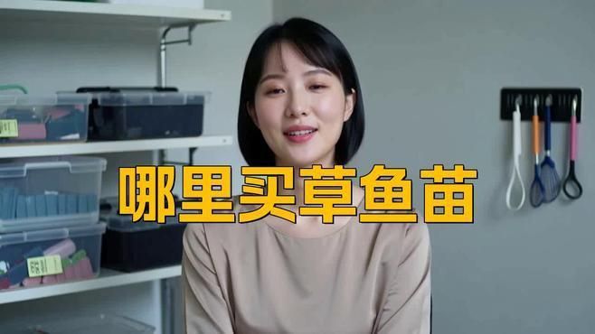 買魚苗去哪里買