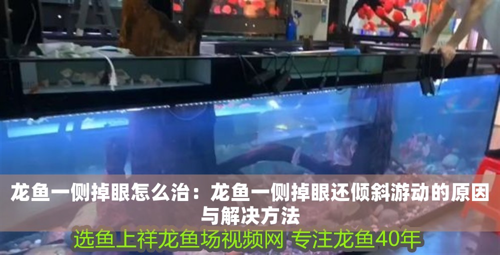 龍魚一側掉眼怎么治：龍魚一側掉眼還傾斜游動的原因與解決方法