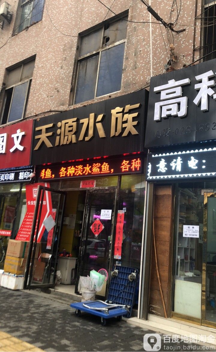 哪里可以找到專業的水族獸醫？