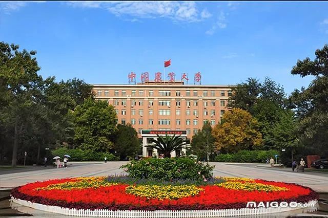 哪里可以找到專業的水族獸醫？