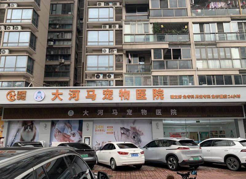 哪里可以找到專業的水族獸醫？