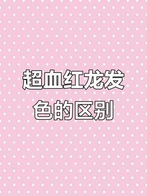 小紅龍發色2024
