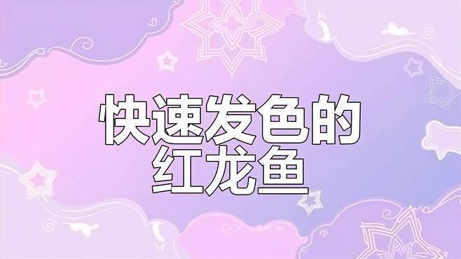 小紅龍發色2024