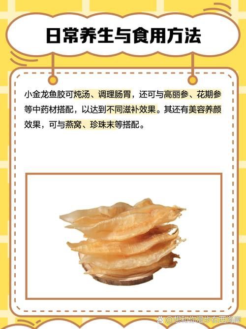 金龍魚膠的營養(yǎng)價值及功效