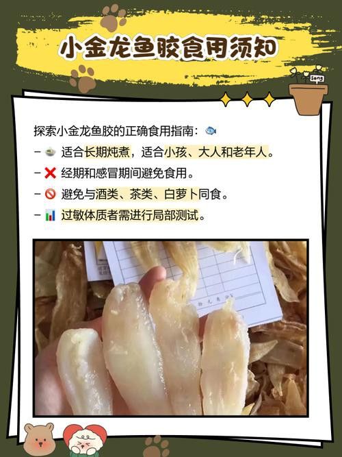 金龍魚膠的營養(yǎng)價值及功效