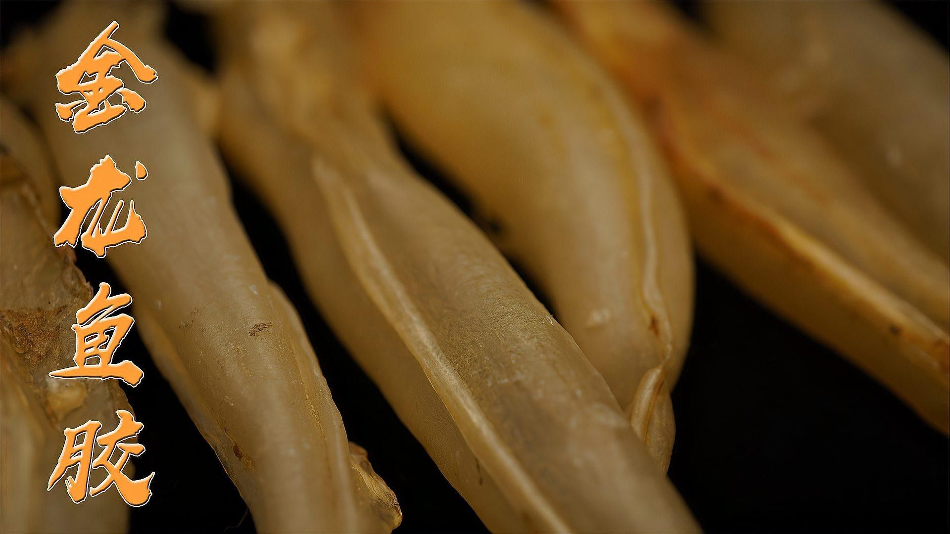 金龍魚膠的營養(yǎng)價值及功效