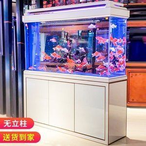 印尼金龍魚怎樣空運回中國的：印尼觀賞魚空運回中國的過程