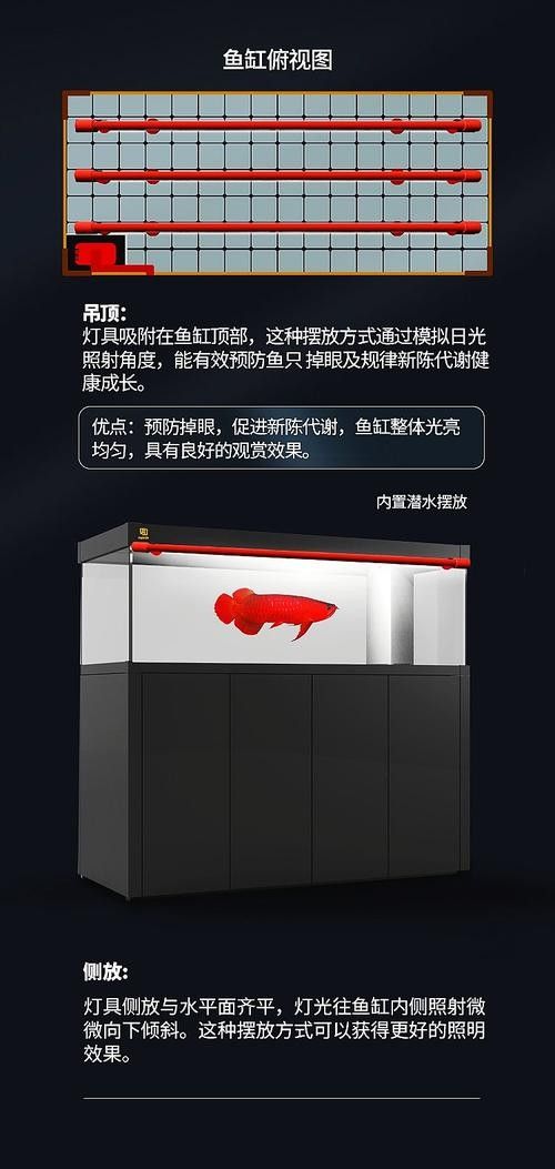 龍魚燈的安裝位置圖解