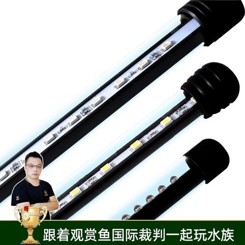 龍魚燈的安裝位置圖解