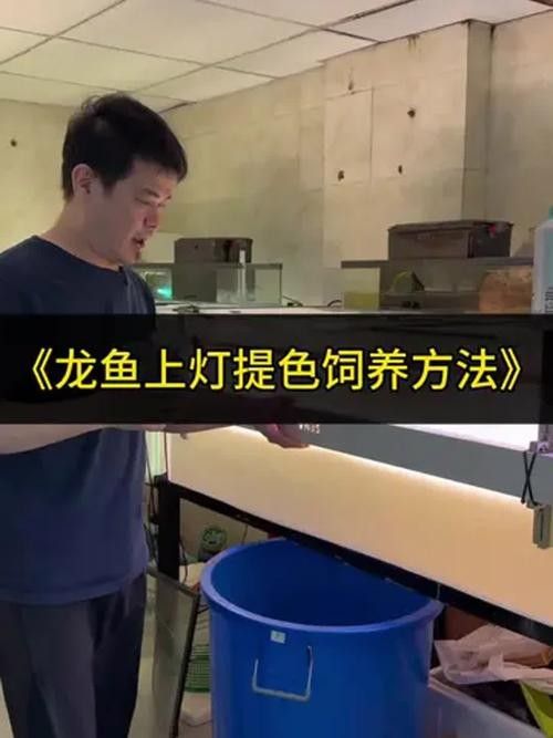 龍魚燈的安裝位置圖解