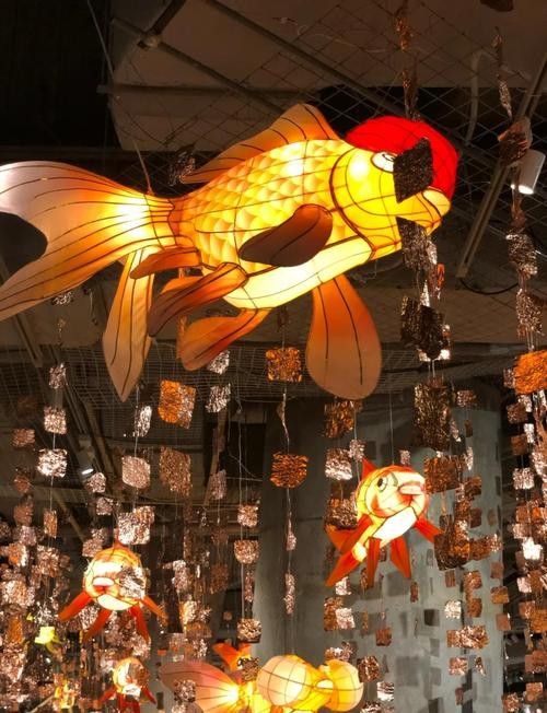 龍魚燈的安裝位置圖解