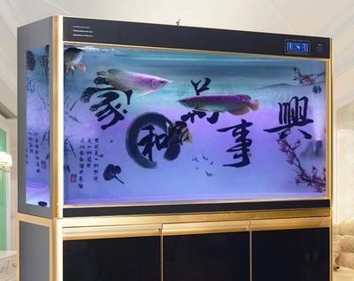 紅龍魚適合什么顏色的背景：紅龍魚幼魚期如何選擇背景色紅龍魚魚缸布置的風水講究
