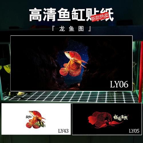 紅龍魚圖片高清手機壁紙可愛版