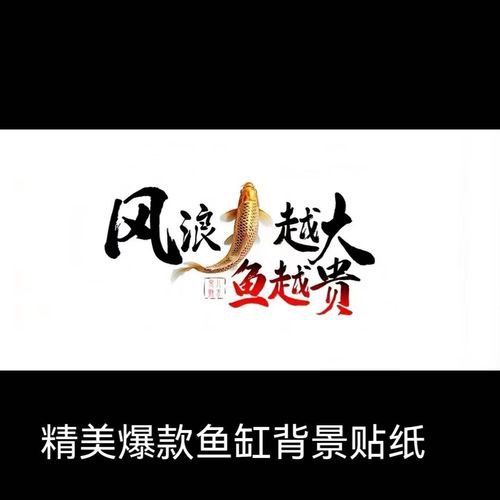 紅龍魚圖片高清手機壁紙可愛版