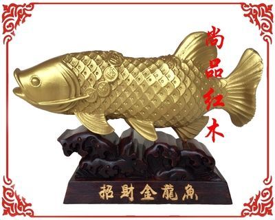 掉眼銀龍魚圖片大全