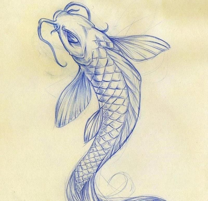 龍魚圖片 壁紙高清豎屏