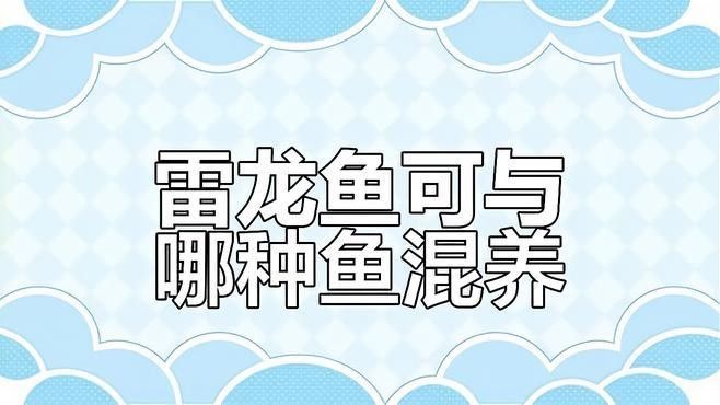 雷龍魚能跟什么魚混養一起