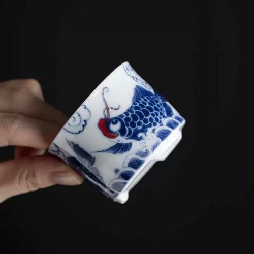 有哪些品牌過(guò)濾器適合古典龍魚？
