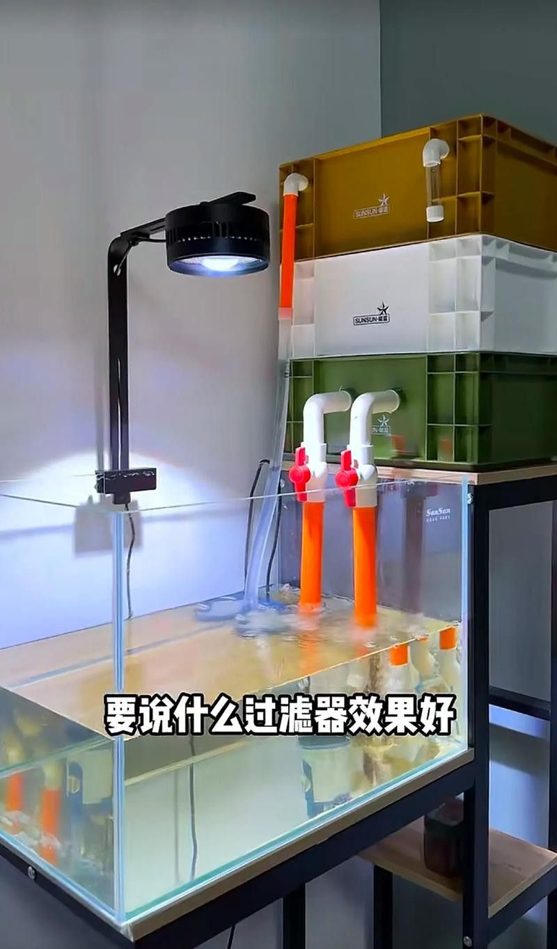 有哪些品牌過(guò)濾器適合古典龍魚？