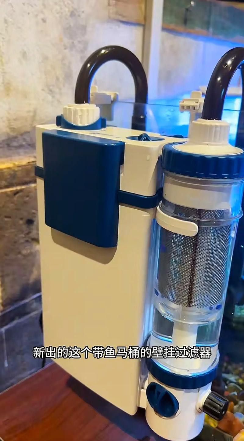 有哪些品牌過(guò)濾器適合古典龍魚？