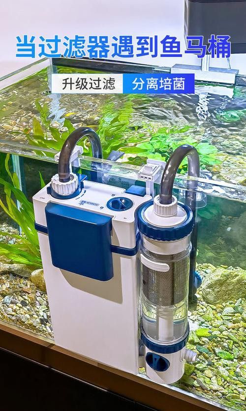 有哪些品牌過(guò)濾器適合古典龍魚？