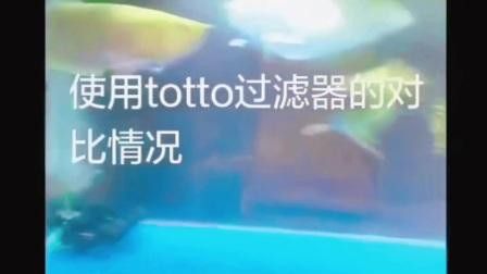 有哪些品牌過(guò)濾器適合古典龍魚？