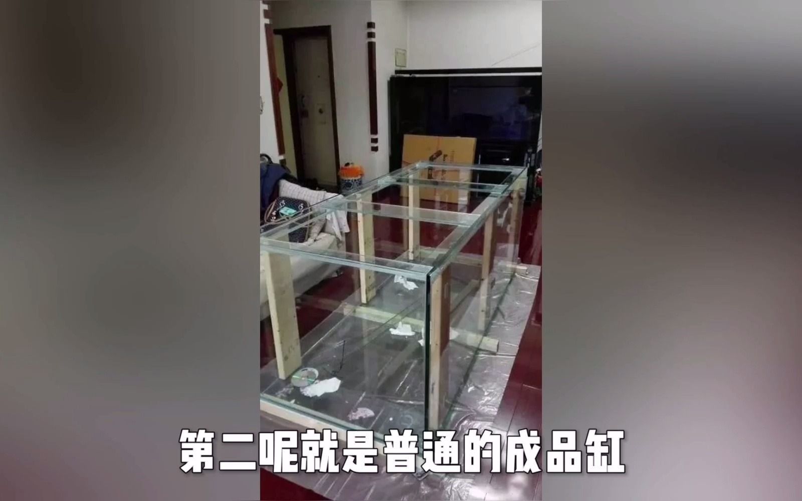 有哪些品牌過(guò)濾器適合古典龍魚？