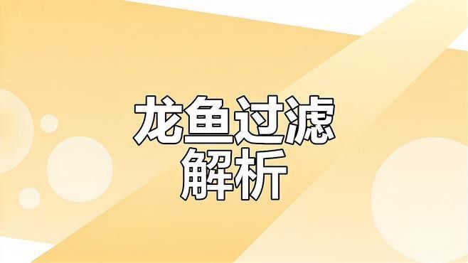 有哪些品牌過(guò)濾器適合古典龍魚？