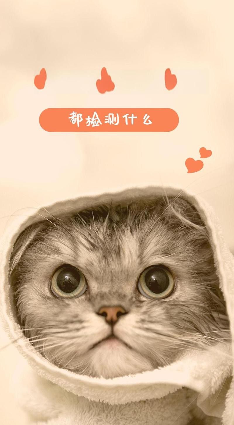 如何判斷小金龍魚飼料是否新鮮？