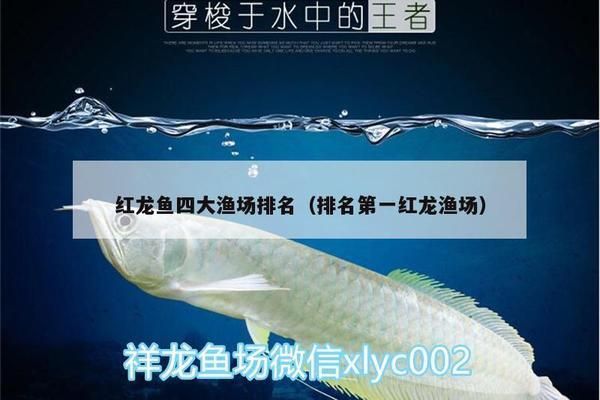 龍魚漁場(chǎng)排名第一是哪個(gè)：哪個(gè)龍魚漁場(chǎng)是全球排名第一的？