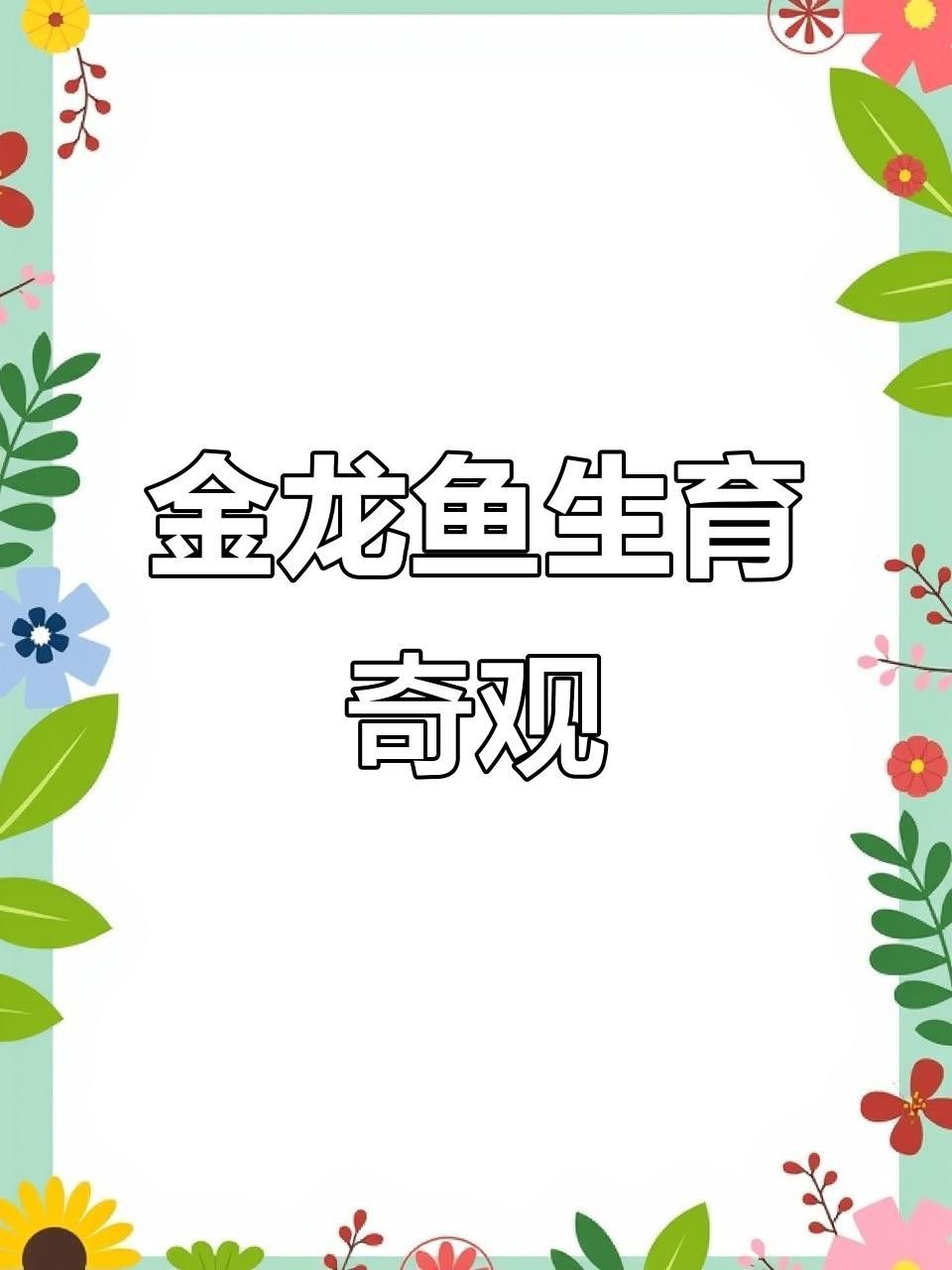 有哪些金龍魚視頻創(chuàng)作者推薦？