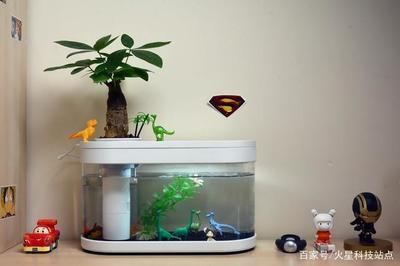 新開的魚缸多長時間適合放魚，養(yǎng)水周期老缸新開流程養(yǎng)水期間注意事項硝化系統(tǒng)建立方法