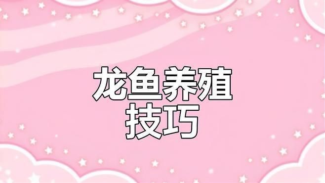 龍魚經常撞缸什么情況