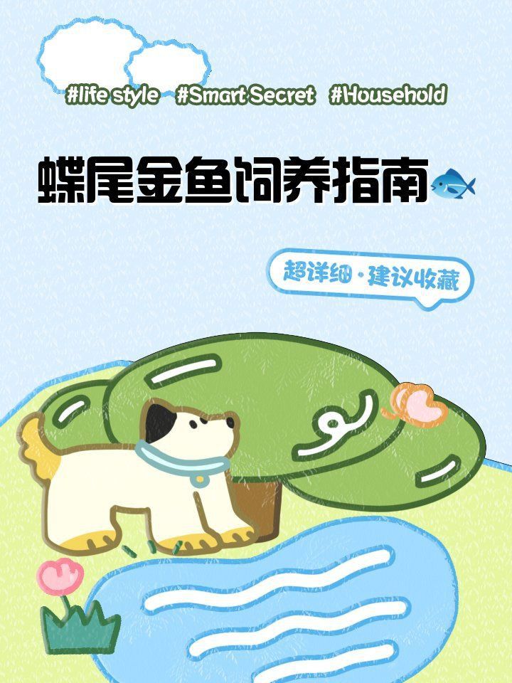 能否提供更多蝶尾金魚(yú)飼養(yǎng)技巧？