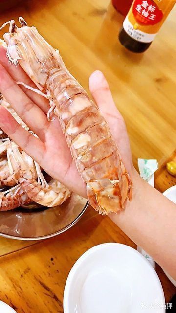 湛江龍魚批發市場地址電話